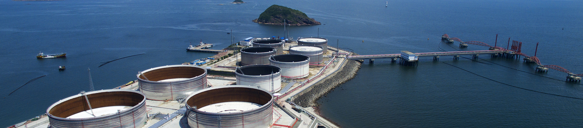 抖圈(中国区)人生就是搏!